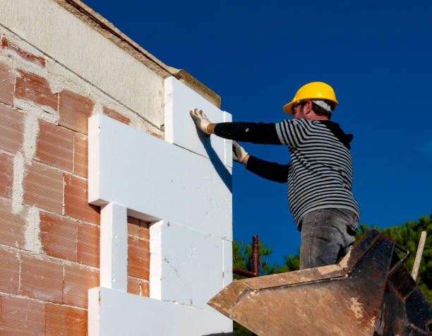 Best DIY Insulation Kits and Guidance in Blue Grass, IA