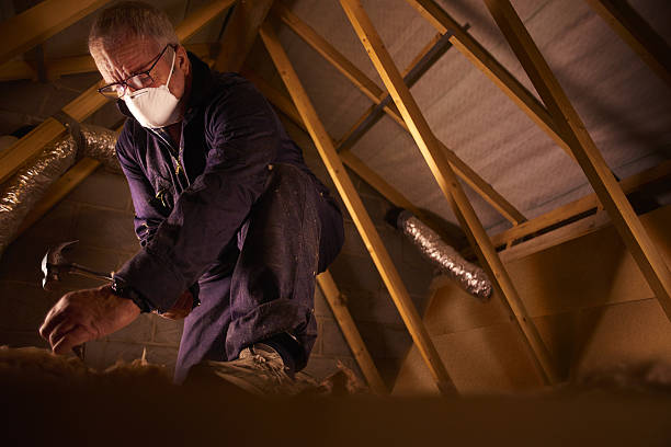Best Specialized Insulation Services in Blue Grass, IA